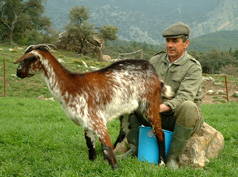 agricultura4
