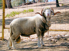 agricultura5