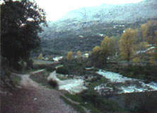 benaojan 1