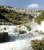 benaojan 3