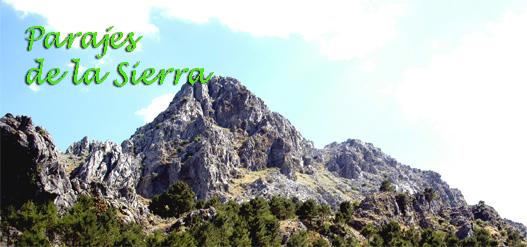 Otros Parajes de la Sierra