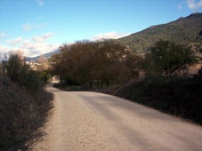 el bosque 2