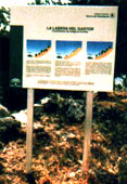 el gastor 1