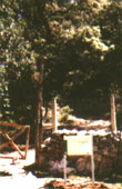 el tesorillo