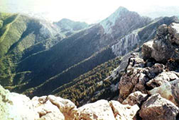 el torreon