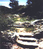 grazalema ruta 2