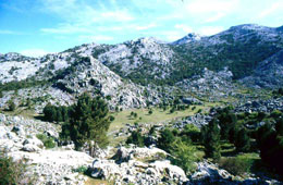 grazalema ruta 3