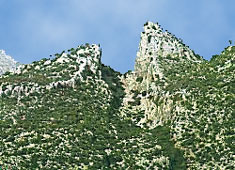 grazalema ruta 4