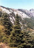 grazalema ruta 5