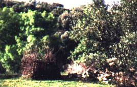 llanos del berral