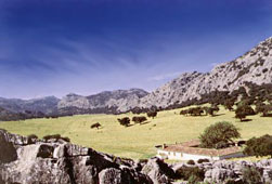 montejaque ruta 1
