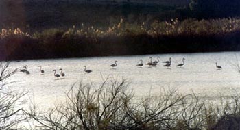 paraje espera 3