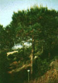 prado ruta 2
