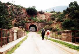 via verde 2
