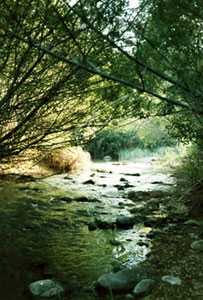 via verde 5