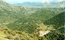 zahara ruta 3