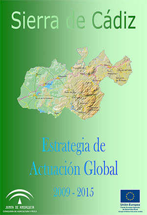 Estrategia de Actuación Global