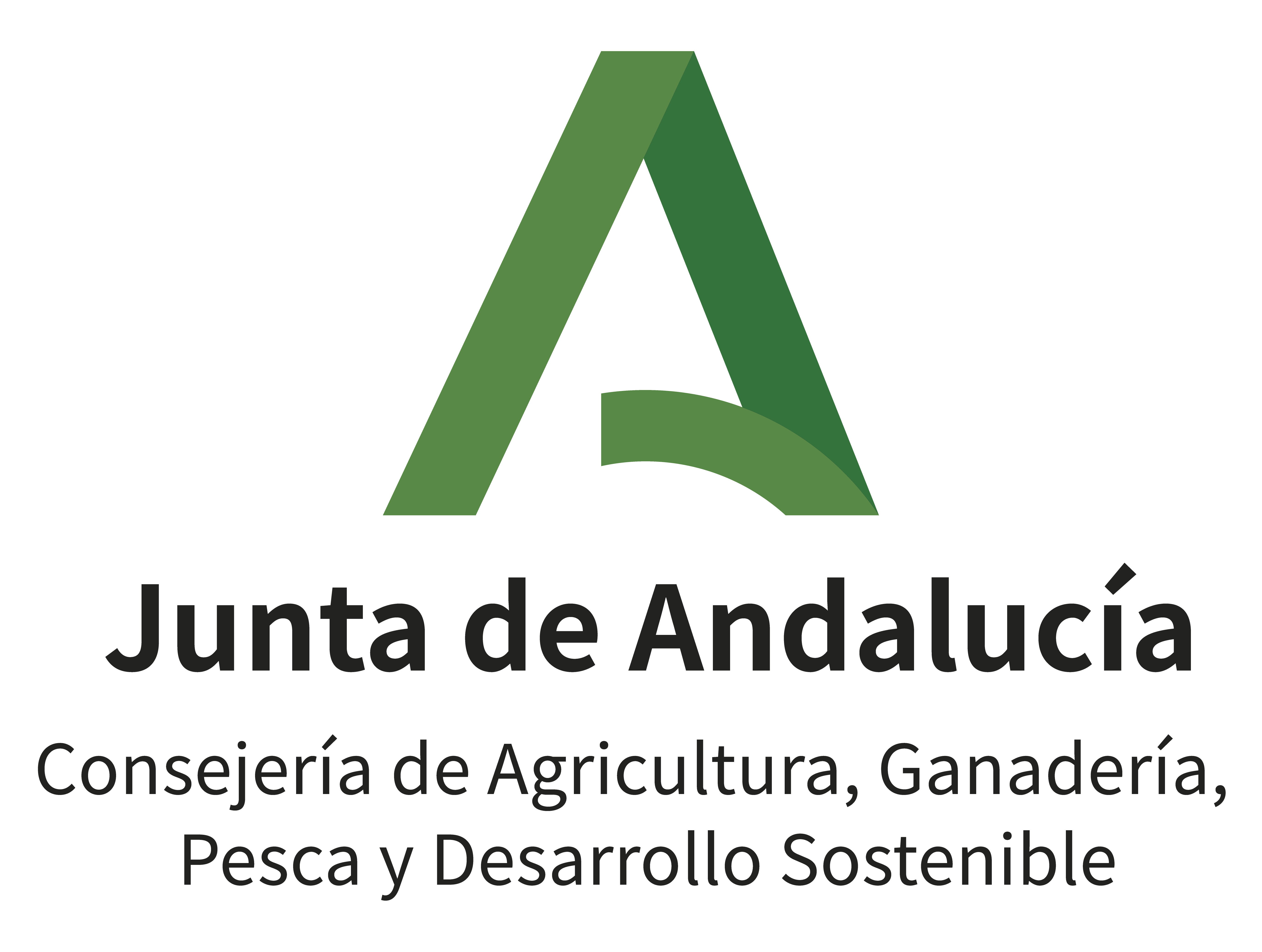 Publicación de Propuestas Provisionales de Resolución – Convocatoria 2020