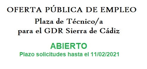 Plazo hasta 11/02/2021
