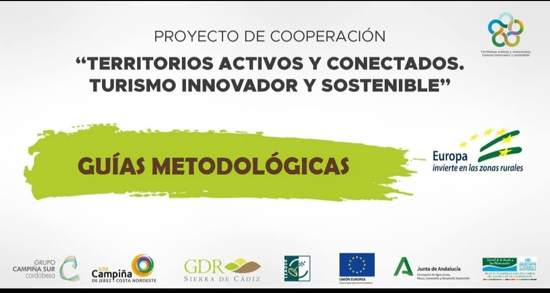 Guías metodológicas