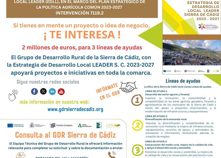 ¿Tienes un proyecto? La EDL Leader puede ayudarte!